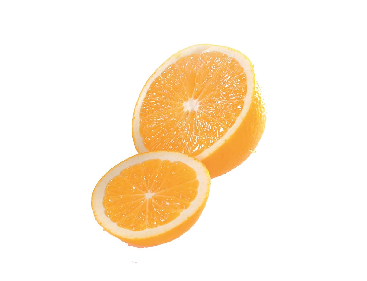 gefu-zitronenpresse-lemon-manuelle-2-teilige-edelstahl-saftpresse-mit-saftsieb-u image 5