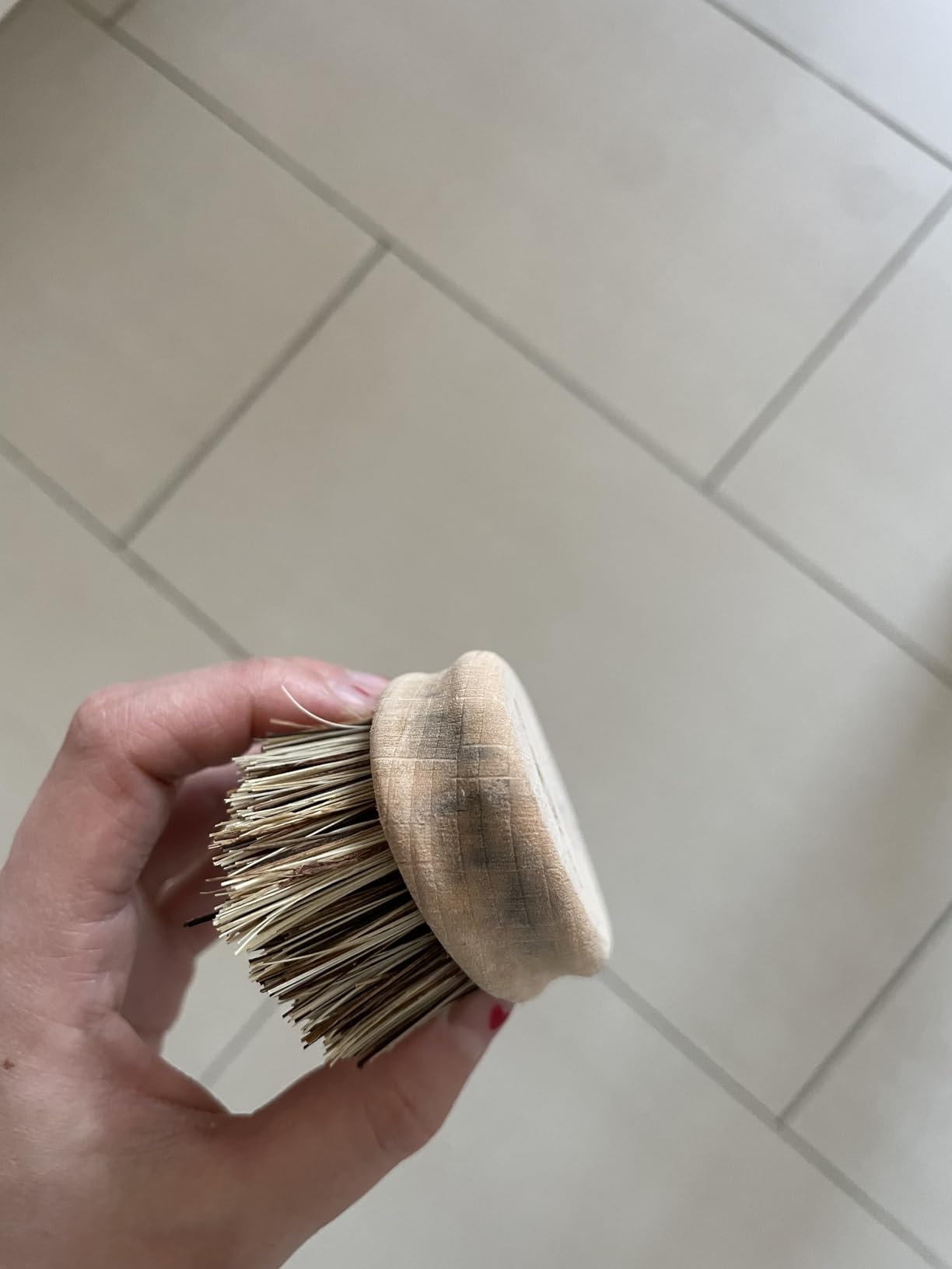 Solide Qualität zum kleinen Preis