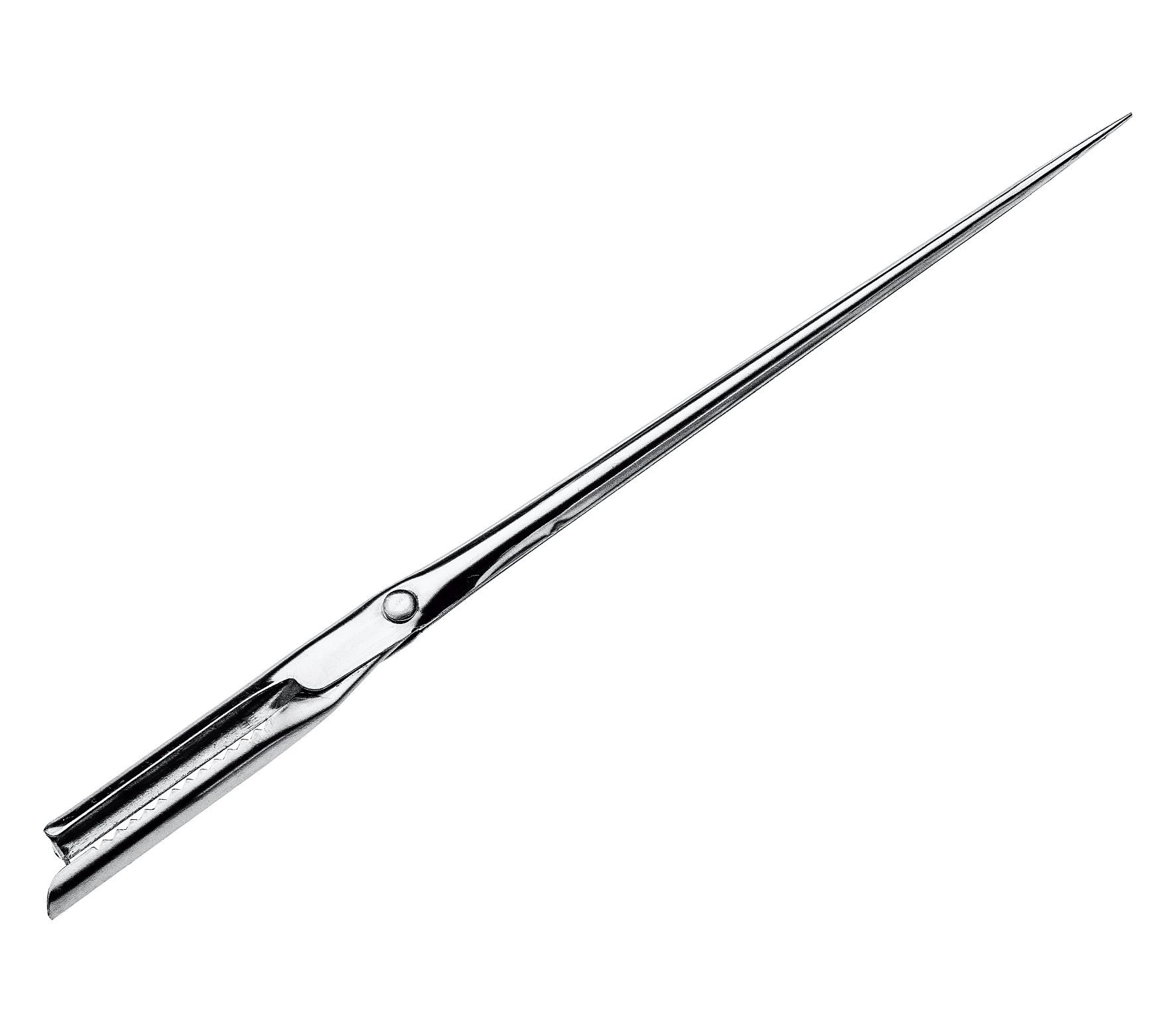 k-chenprofi-spicknadel-19-5-cm-rostfreier-edelstahl-mit-gezahnter-klammer-f-r-sp image 1