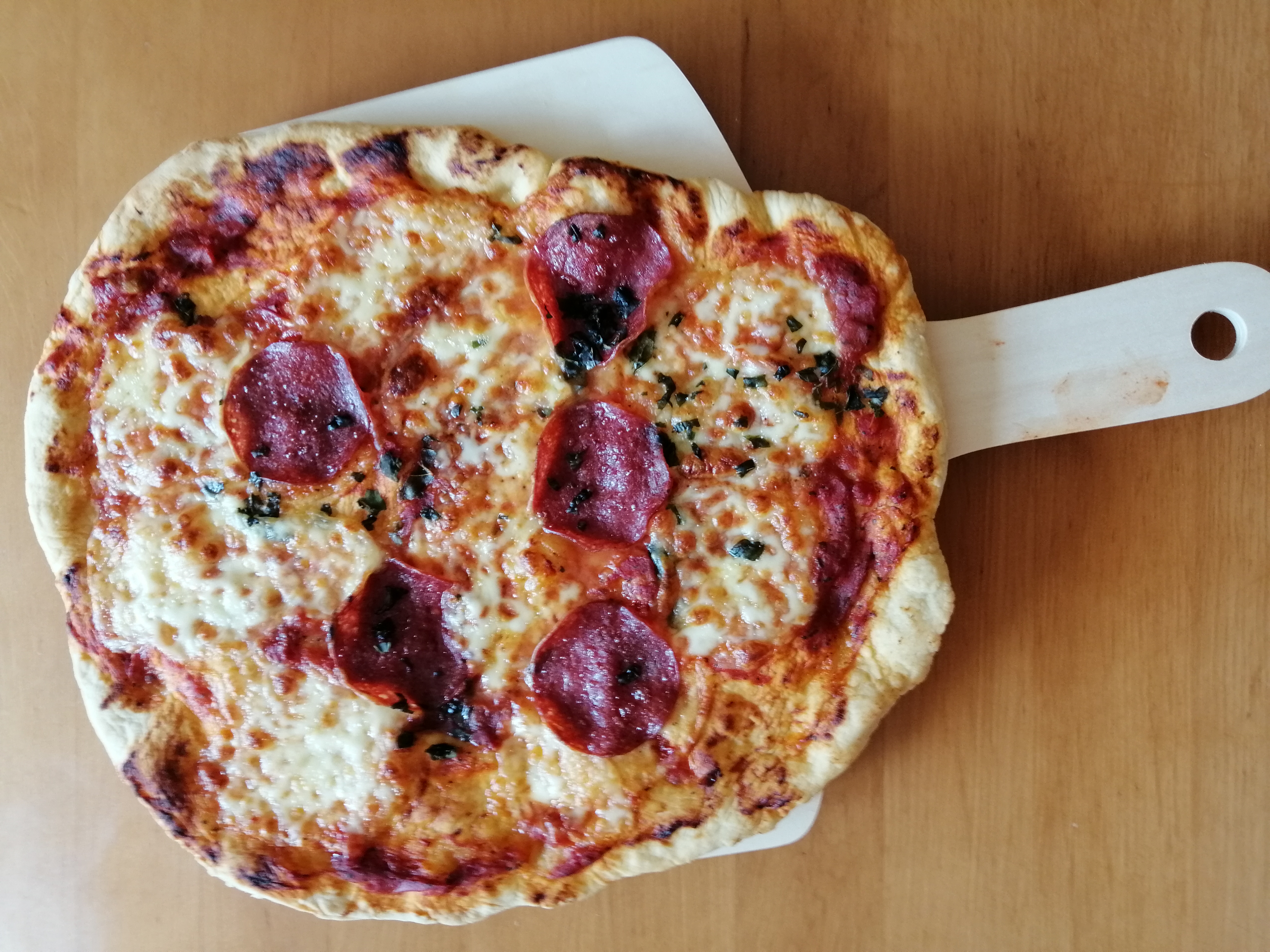 Steinofen-Pizza zuhause